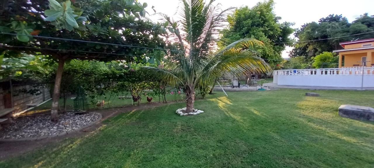 Modrians Bed & Breakfast Runaway Bay Dış mekan fotoğraf